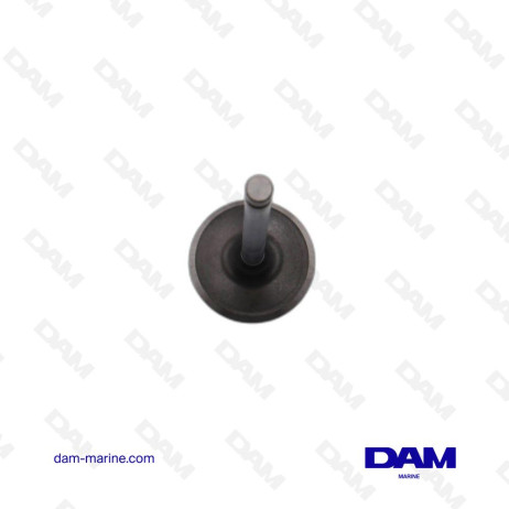 GM V6-GM350 RLI INTAKE VALVE