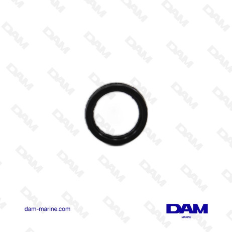 POWER HEAD ANODE GASKET*