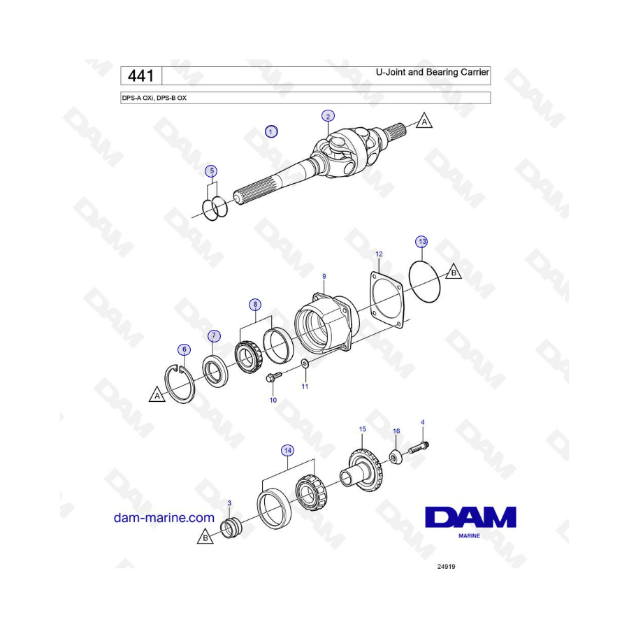 DPS-A OXi, DPS-B OX Cardan