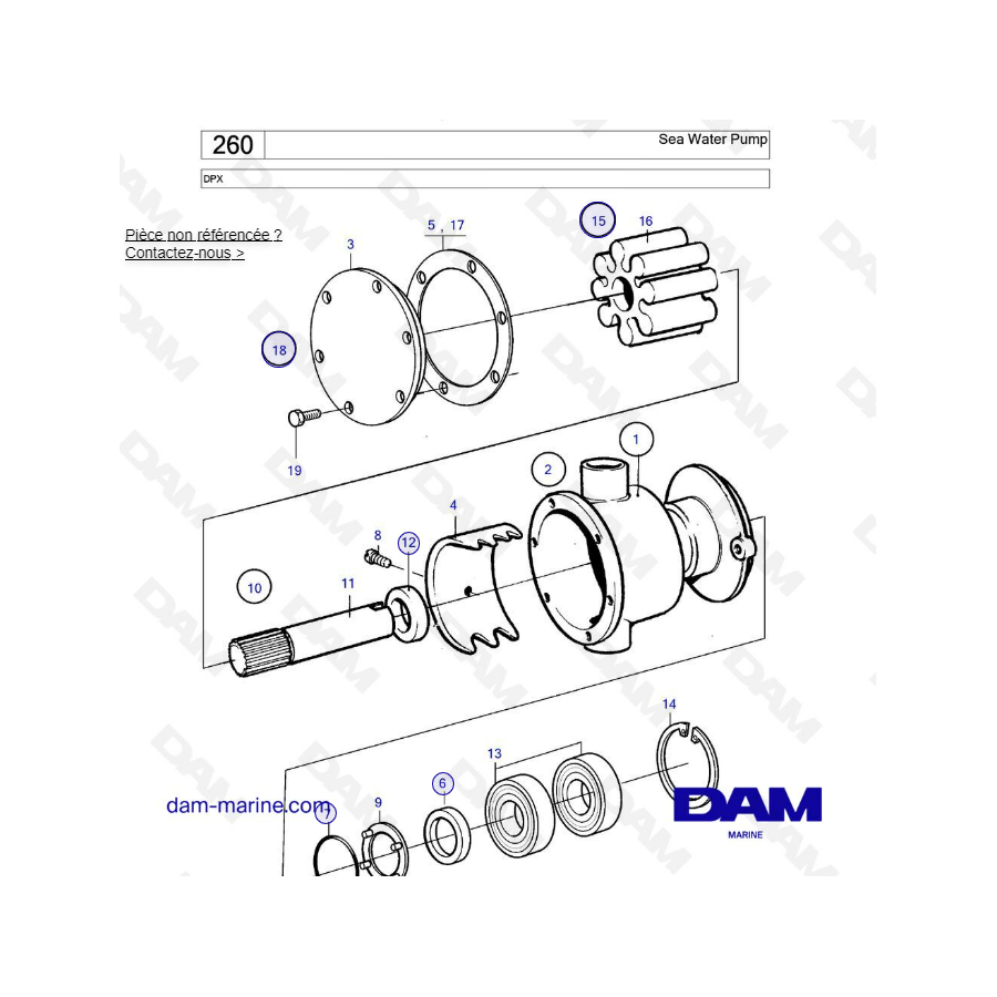 DPX - Pompe à eau de mer VUE ECLATEE