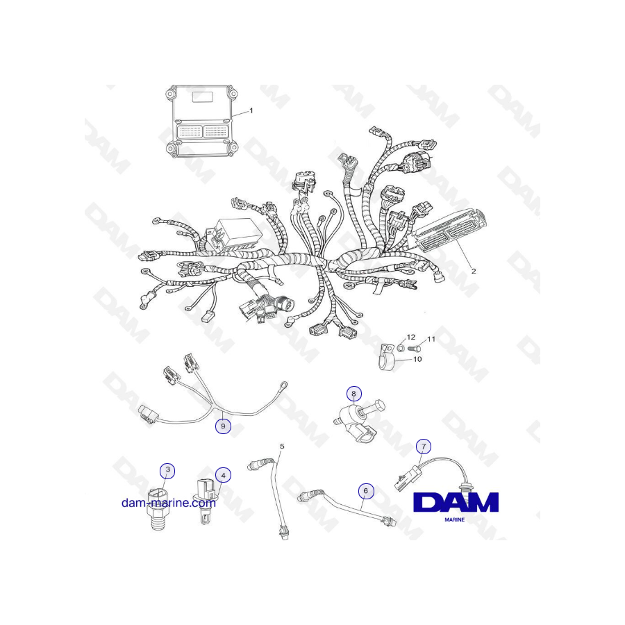 Arnés de cableado, sensores y ECM PCM H5/H6