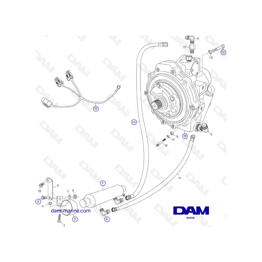 Transmission & Related components H5/H6 PCM