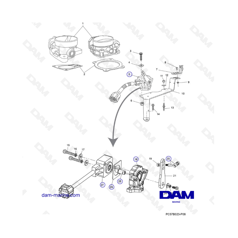 PCM Excalibur 02 - Throttle body