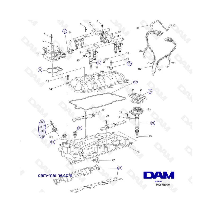 PCM Excalibur 5.7L 02-05 - Colector de admisión