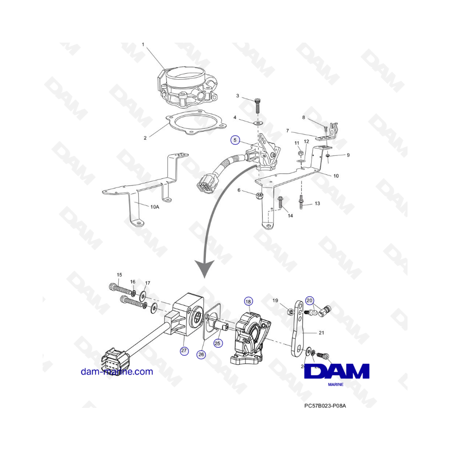 PCM Excalibur 343 - Throttle Body & Related components