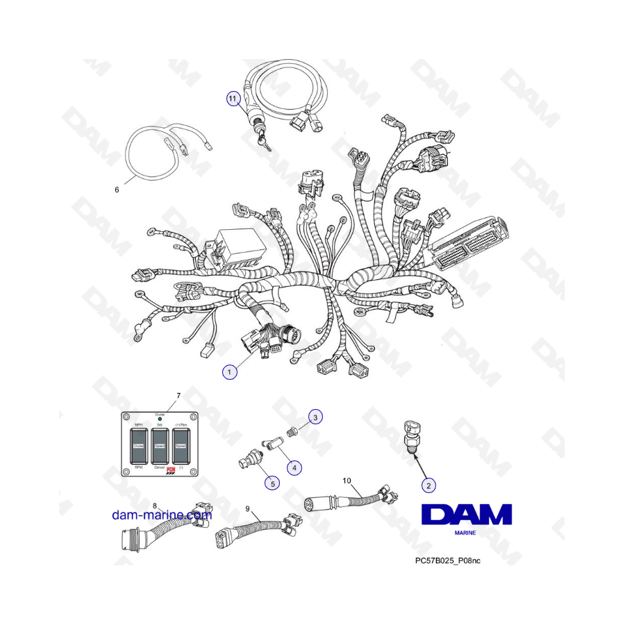 PCM Excalibur 343 - Arneses de cableado