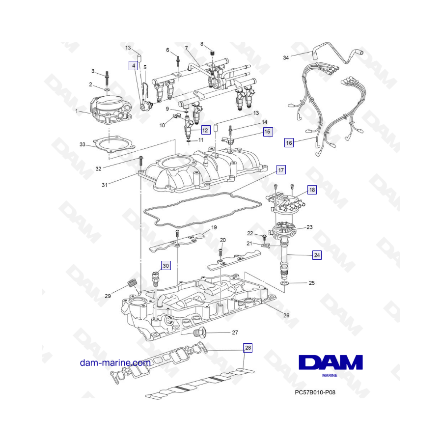 PCM Excalibur 343 2010-2012- Intake manifold assembly