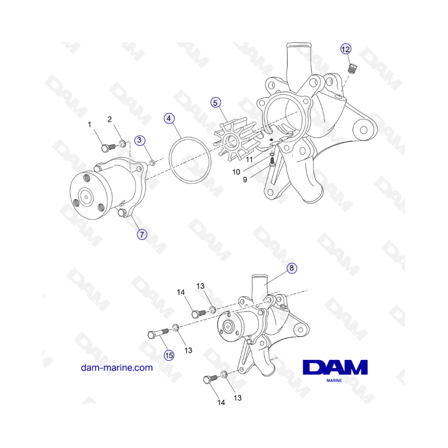 PCM Excalibur 343 2010-2012 - Raw water cooling pump