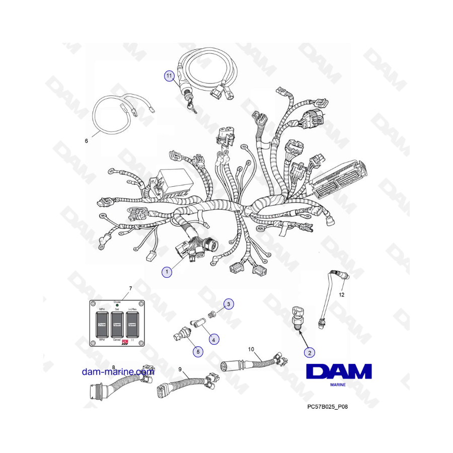 PCM Excalibur 343 2010-2012 - Wiring harness assemblies and senders