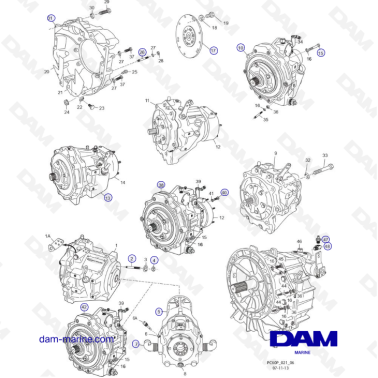 PCM ZR409 - ZR450 - 10+ - ENGINE and TRANSMISSION MOUNTS - DAM Marine