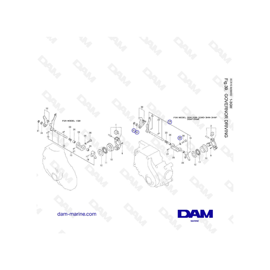 Yanmar 1GM, 2GM, 3GM, 3HM (F) - Conducción del gobernador