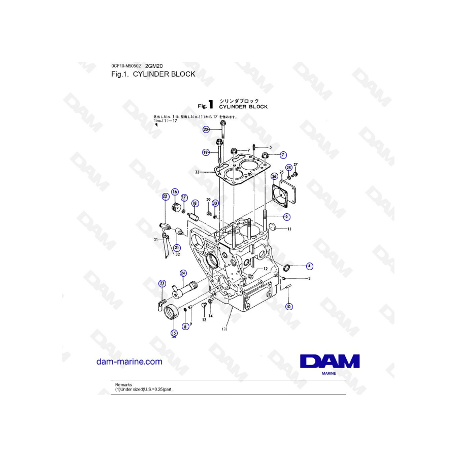 Yanmar 2GM20 - Bloque de cilindros