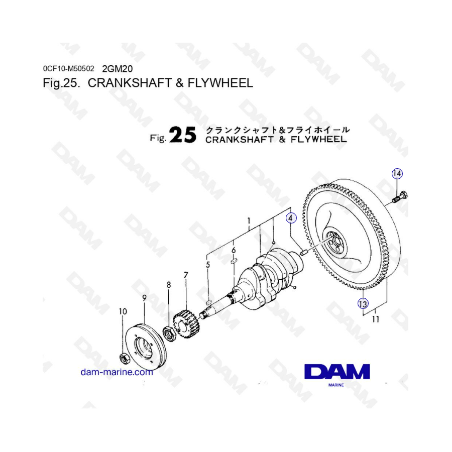 Yanmar 2GM20 - CIGÜEÑAL Y VOLANTE