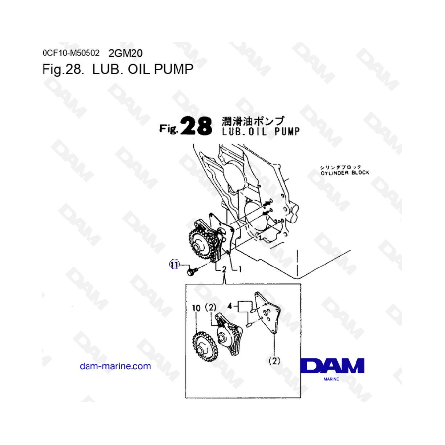 Yanmar 2GM20 - LUB. BOMBA DE ACEITE