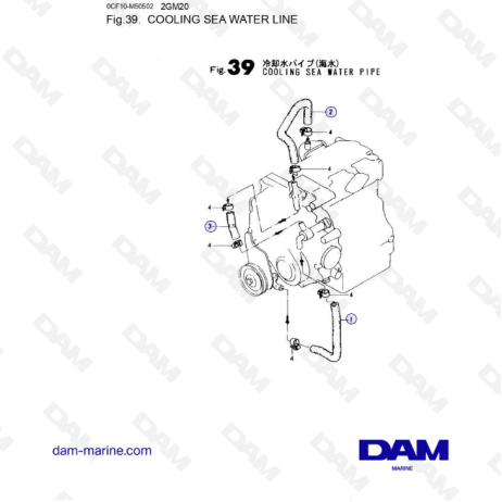 Yanmar 2GM20 - Línea de agua de mar de refrigeración