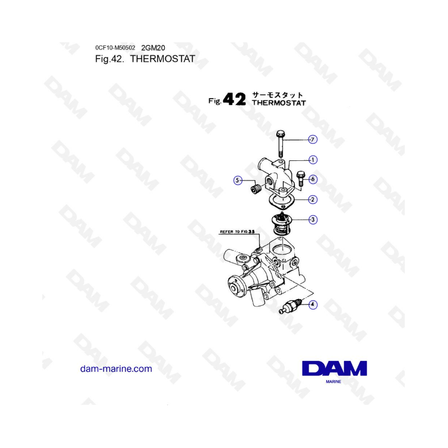 Yanmar 2GM20 - Termostato (2)