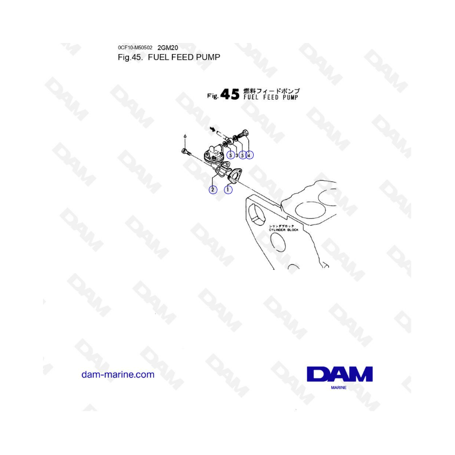 Yanmar 2GM20 - Bomba de alimentación de combustible