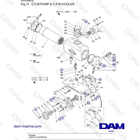 Yanmar 2QM - BOMBA C.F.W Y ENFRIADOR C.F.W