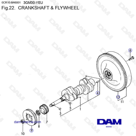 Yanmar 3GM30-YEU - CRANKSHAFT and FLYWHEEL