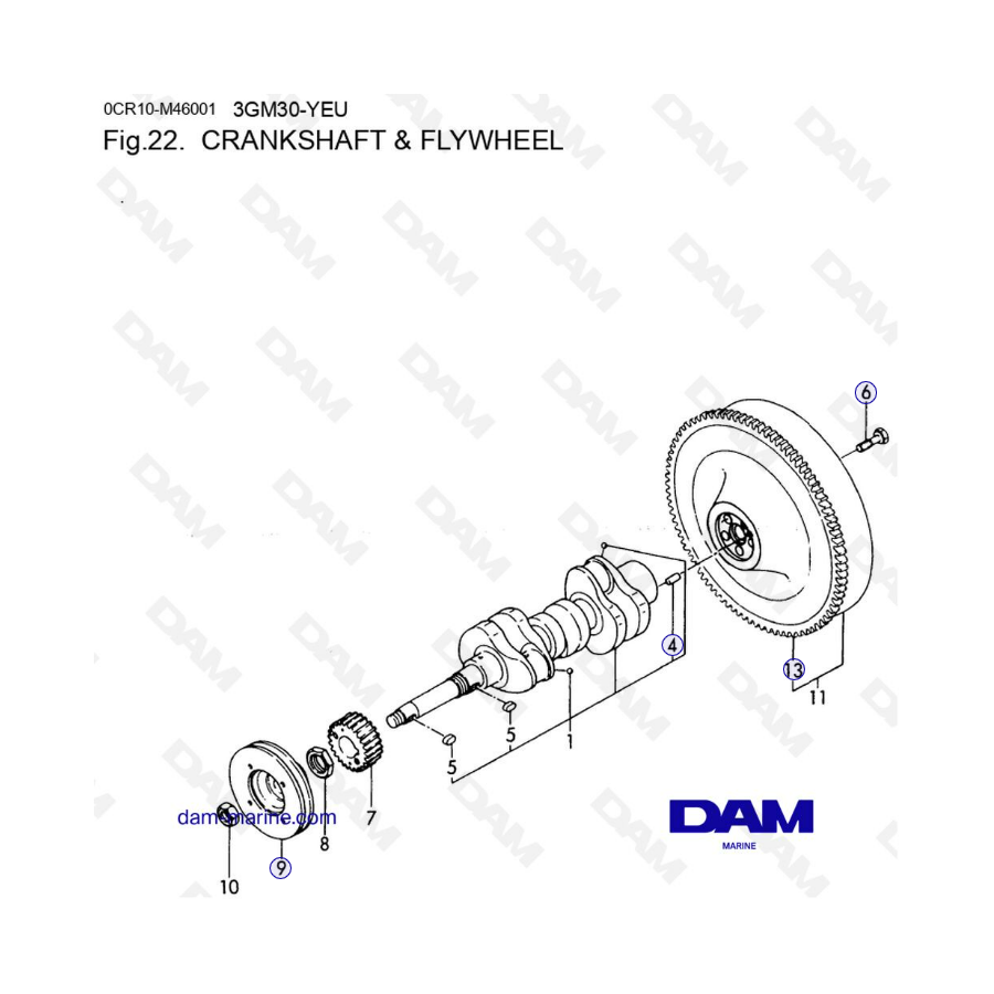 Yanmar 3GM30-YEU - CIGÜEÑAL Y VOLANTE