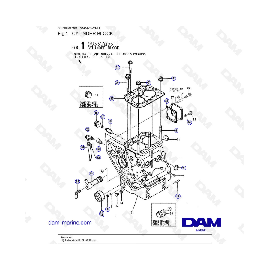 Yanmar 2GM20-YEU - BLOQUE DE CILINDROS