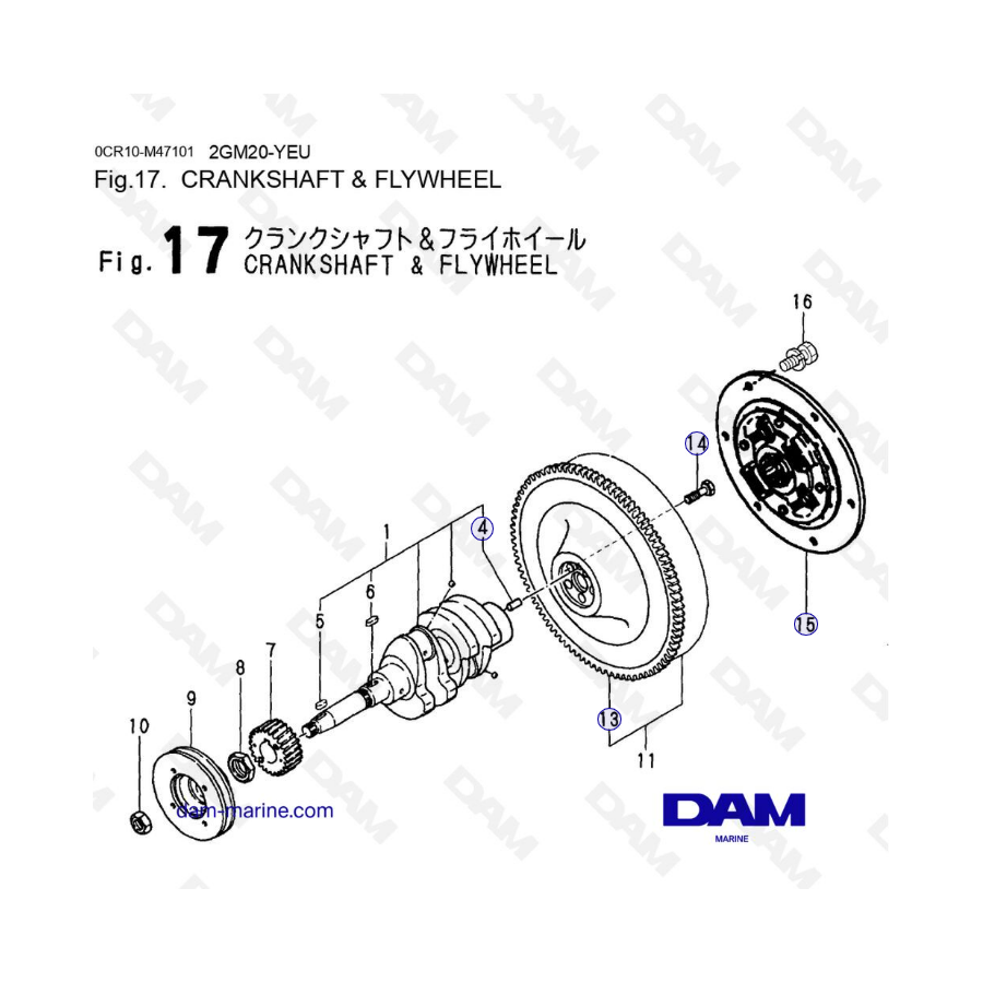 Yanmar 2GM20-YEU - CIGÜEÑAL