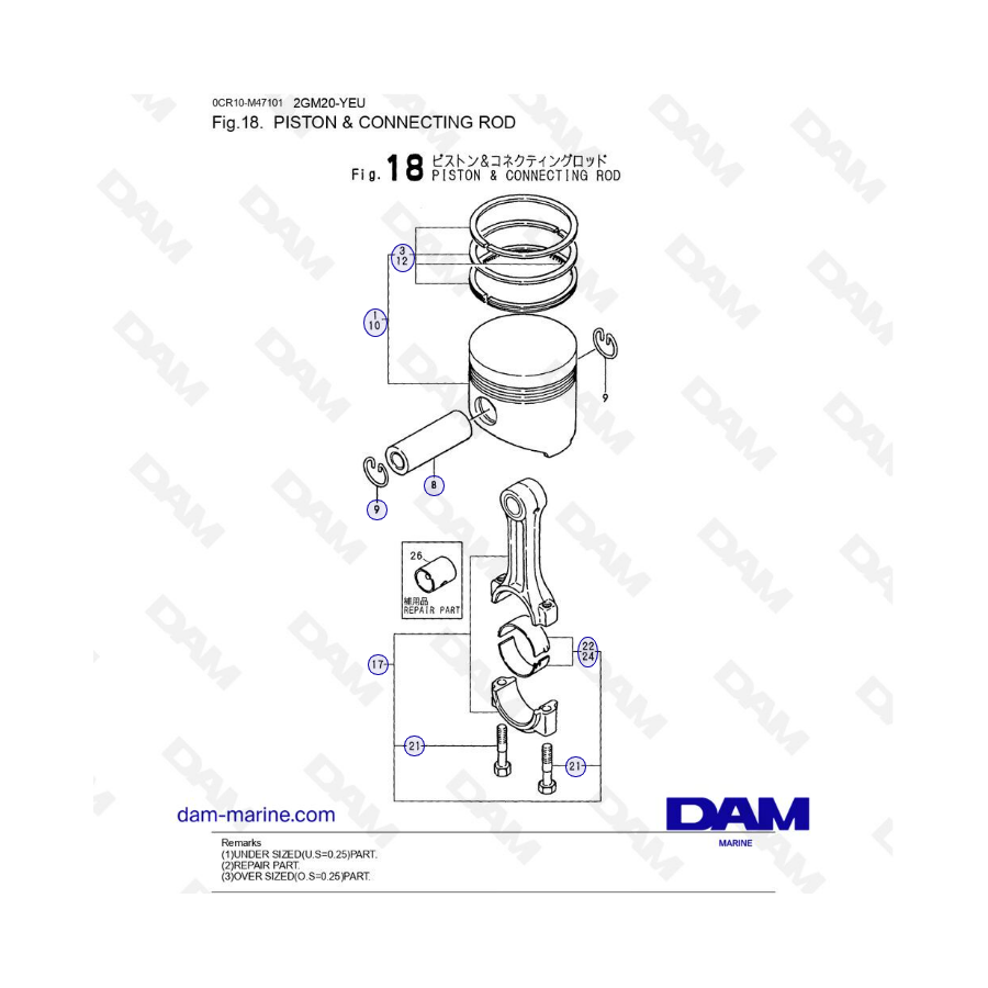 Yanmar 2GM20-YEU - PISTON and CONNECTING ROD