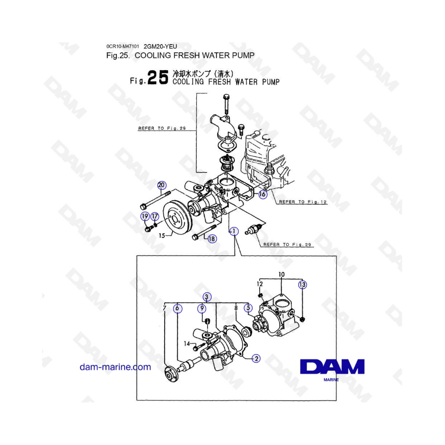 Yanmar 2GM20-YEU - BOMBA DE AGUA DULCE DE REFRIGERACIÓN