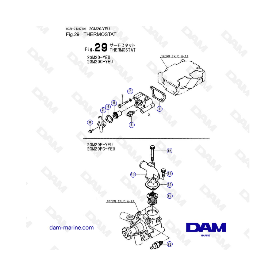 Yanmar 2GM20-YEU - TERMOSTATO