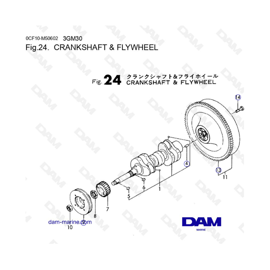 Yanmar 3GM30 - CRANKSHAFT & FLYWHEEL