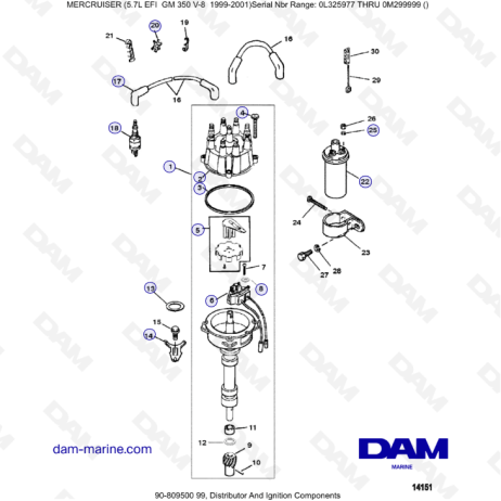 5.7L EFI GM350 V8 (1999-2001) - Distribución