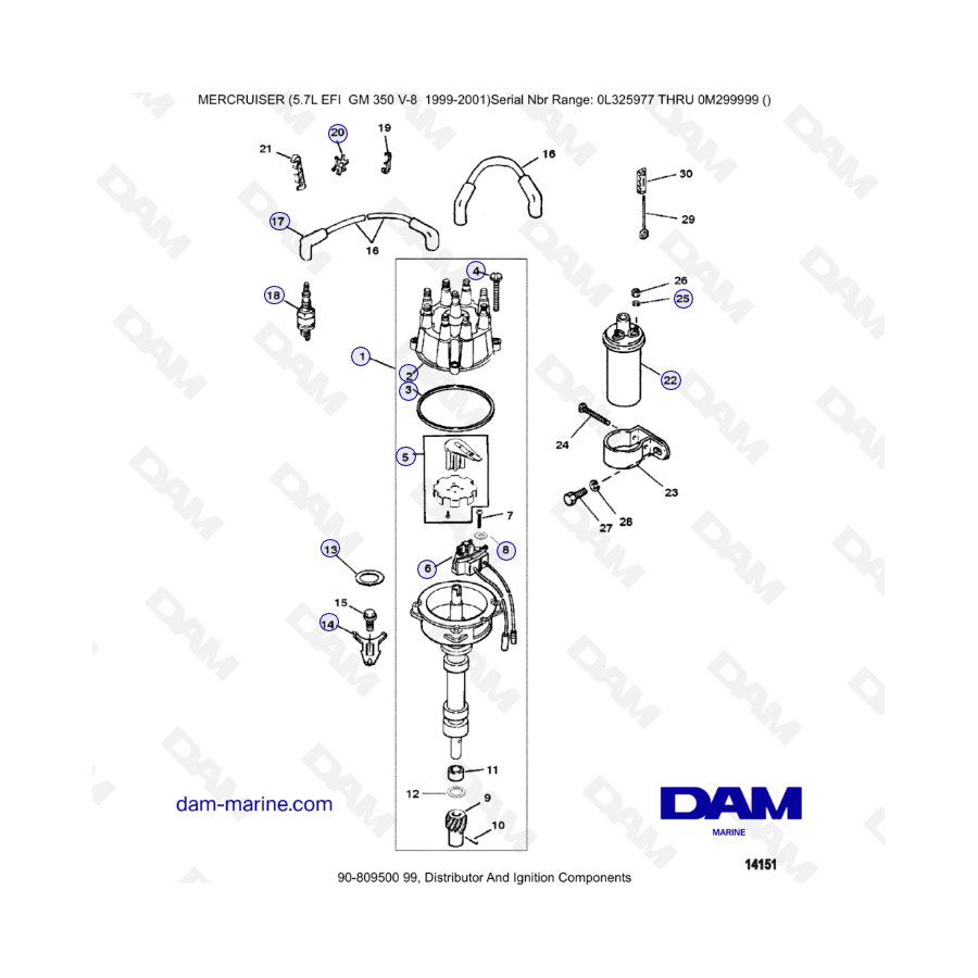 5.7L EFI GM350 V8 (1999-2001) - Distribución