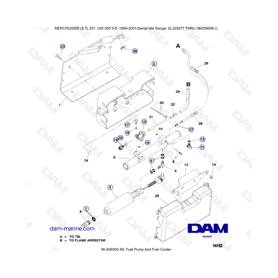 5.7L EFI GM350 V8 (1999-2001) - Bomba de combustible y enfriador de combustible