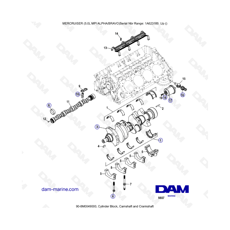 MERCRUISER 5.0L MPI ALPHA-BRAVO - Bloque de cilindros, árbol de levas y cigüeñal