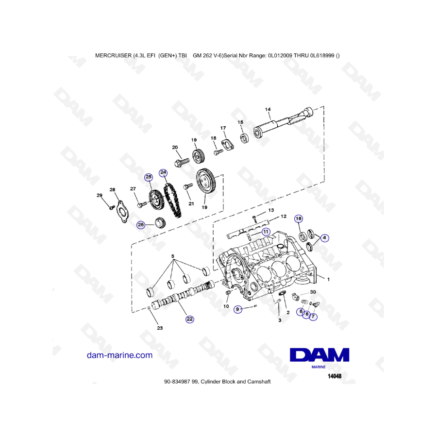 MERCRUISER 4.3L EFI - Bloque de cilindros y árbol de levas