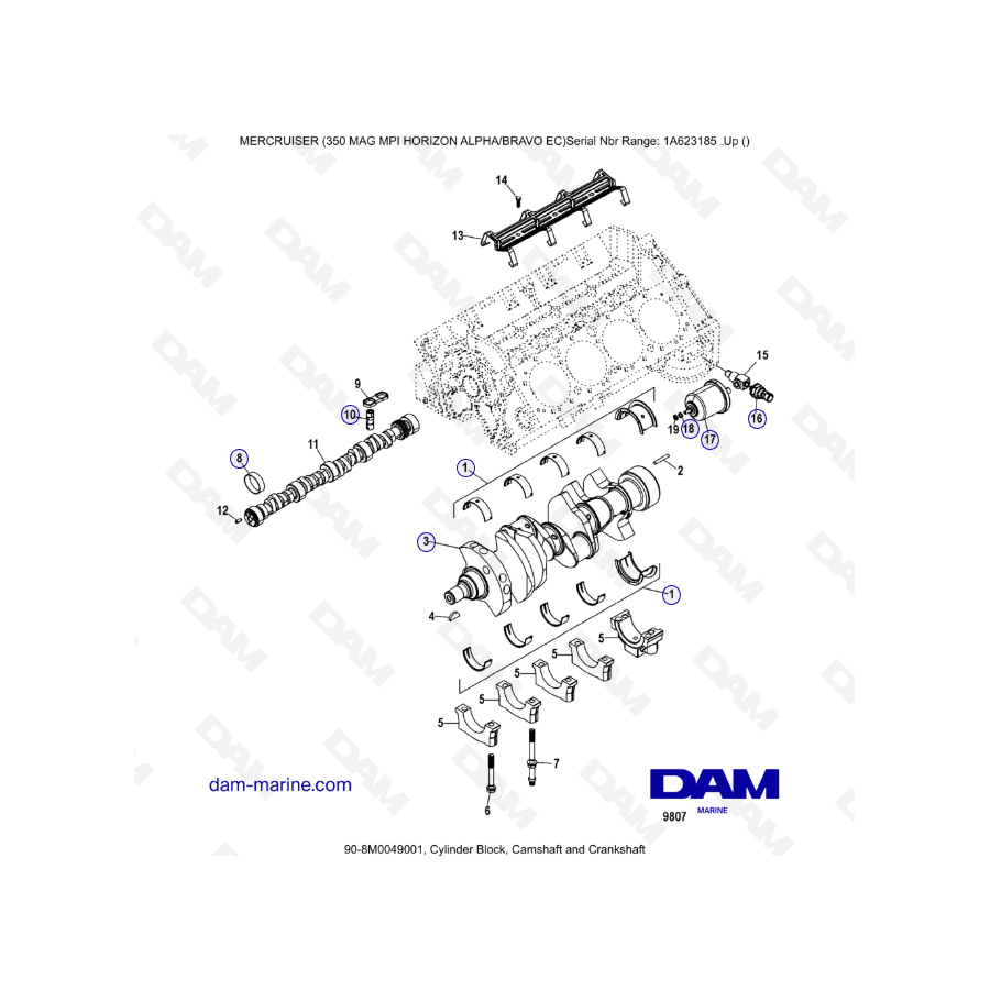 MERCRUISER 350 MAG MPI HORIZON - Cylinder block, camshaft & crankshaft