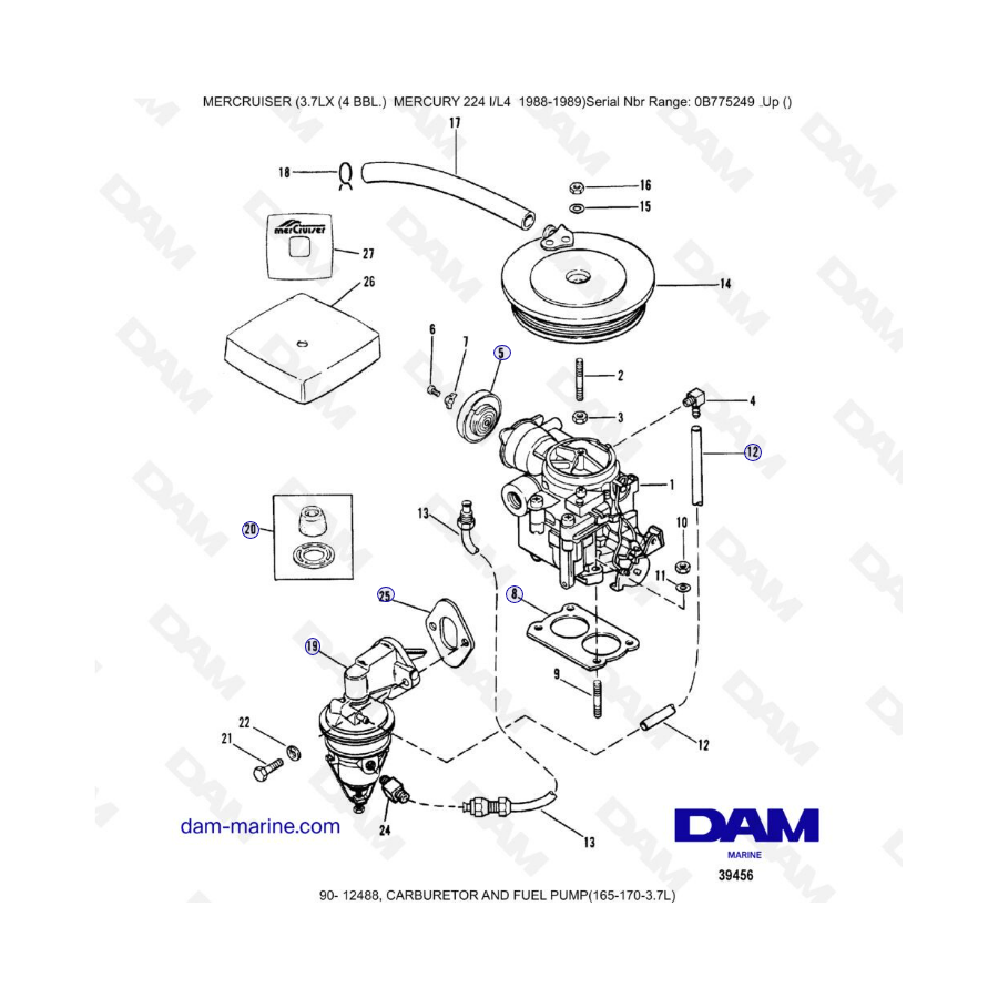 MERCRUISER 3.7LX - Carburetor & fuel pump