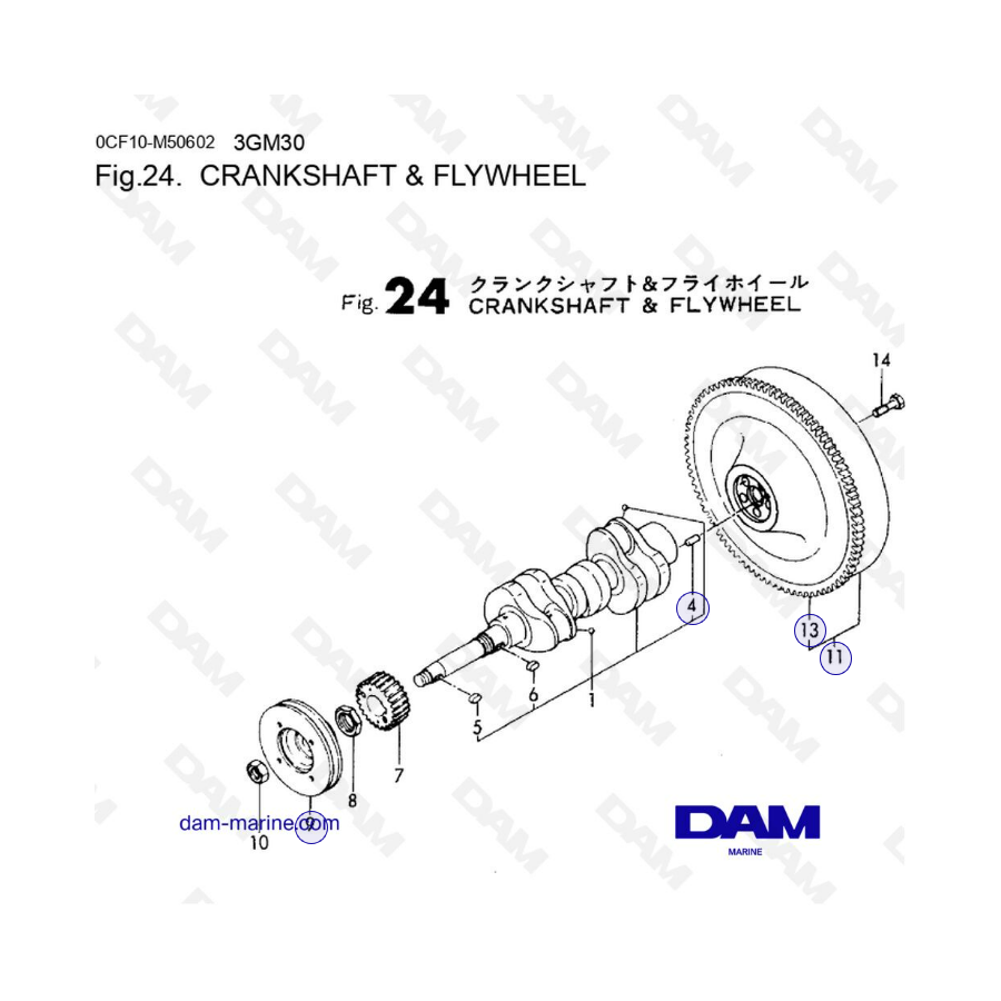 Yanmar 3GM30/3GM30F - Crankshaft and flywheel 