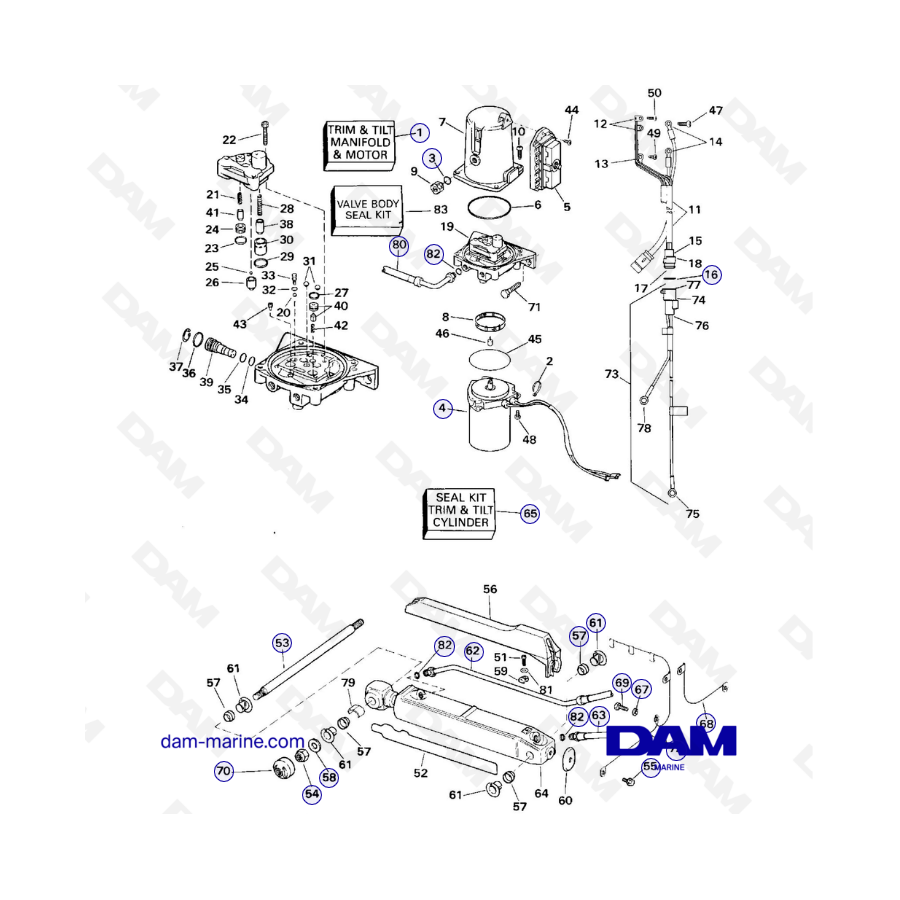 OMC SX base - Cylinders