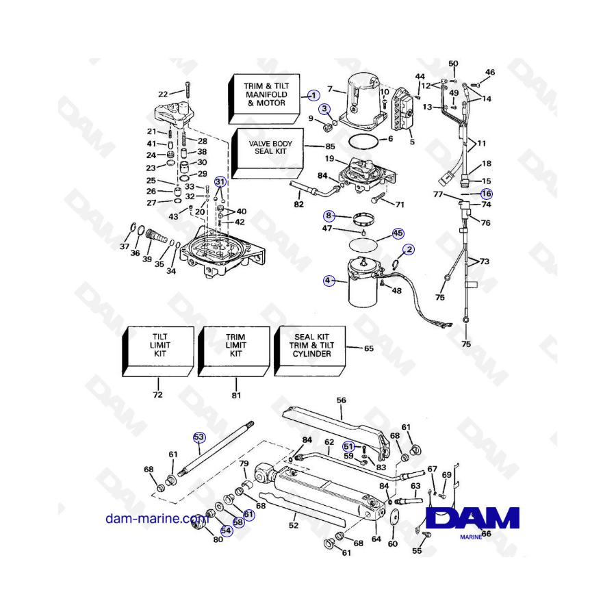 OMC King Base - Cylinders