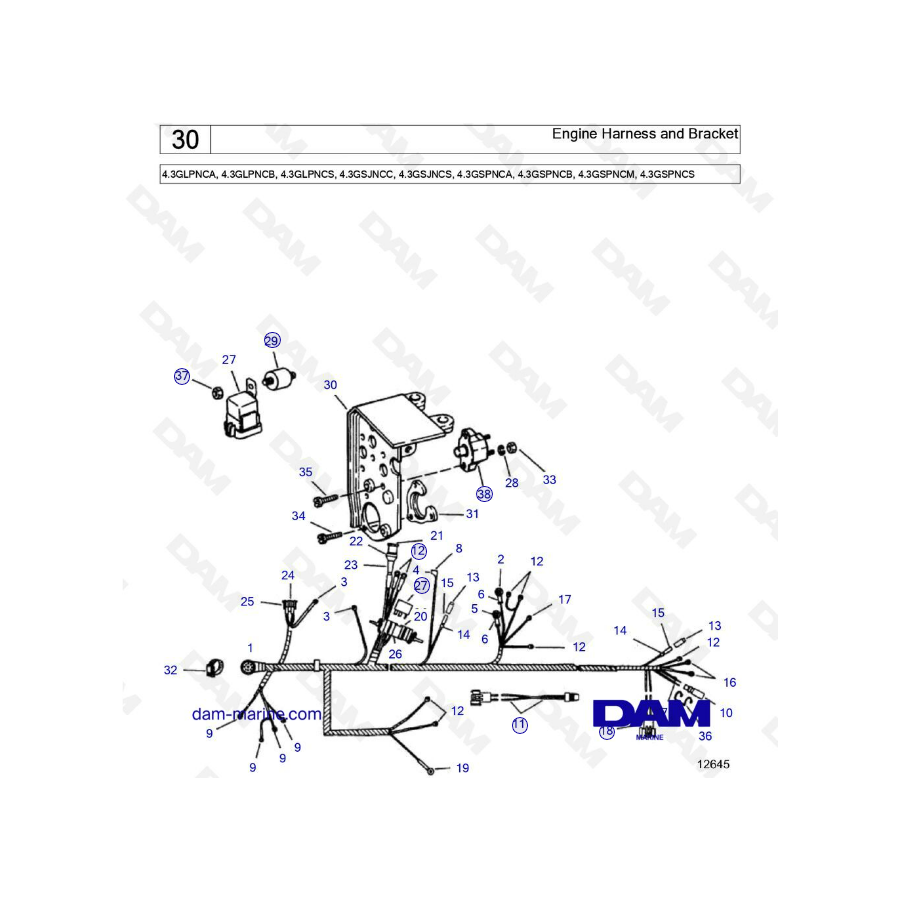 Volvo Penta 4.3L GS - Arnés de motor y soporte