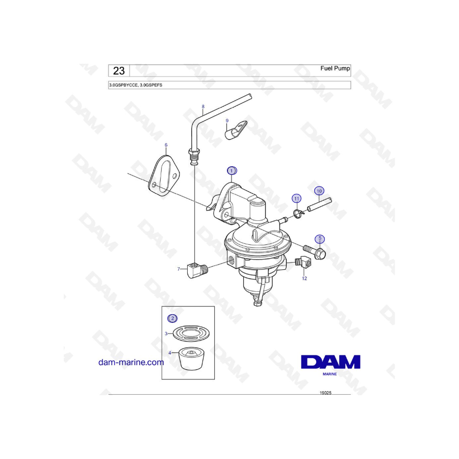 Volvo Penta 3.0L GS - Bomba de combustible