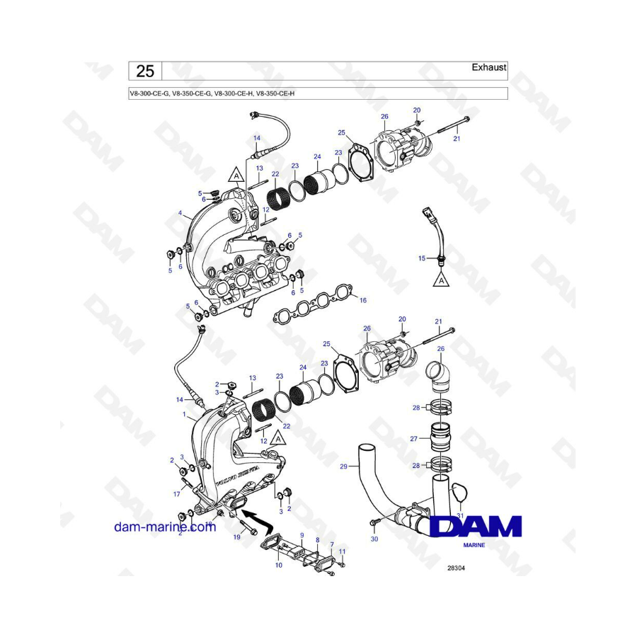 Volvo Penta V8-300 - Escape