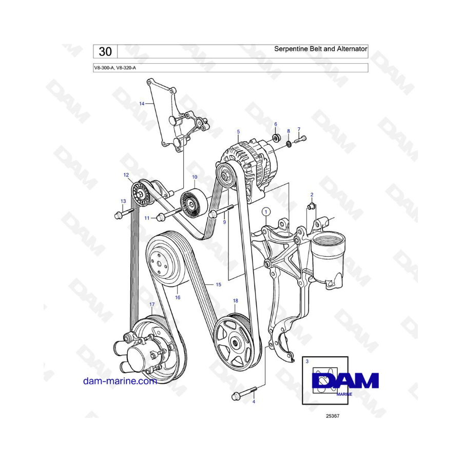 Volvo Penta V8-320 - Correa serpentina y alternador