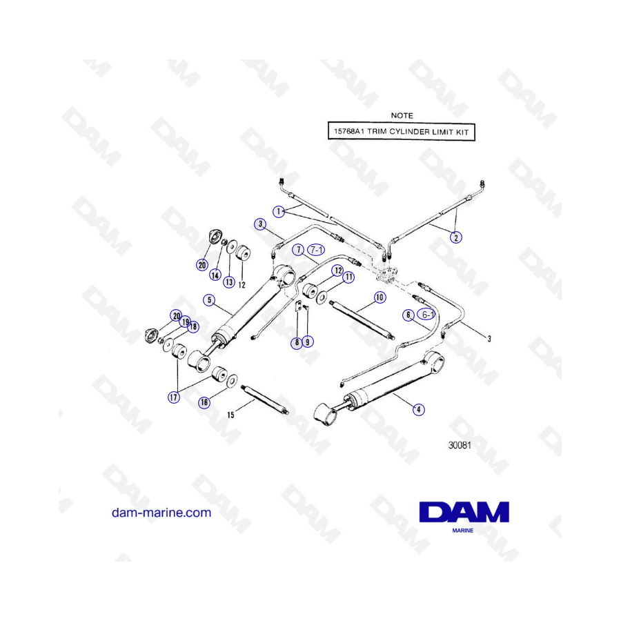 Exploded View Alpha One G1 Cylinders