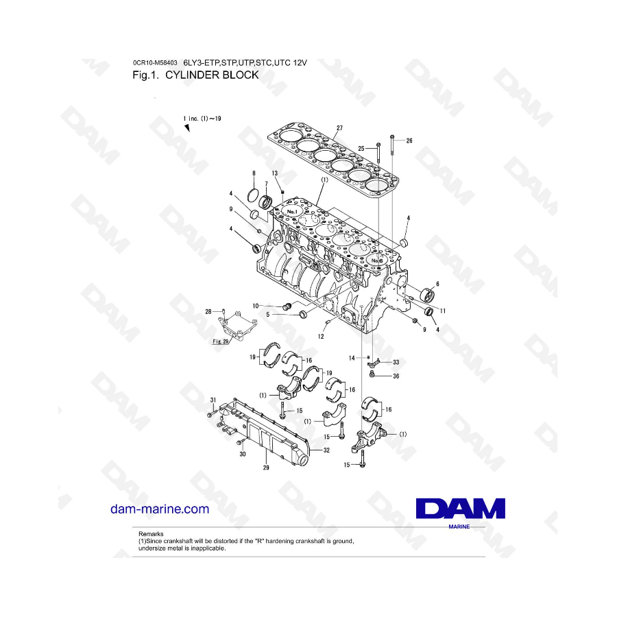 Yanmar 6LY3-ETP / 6LY3-STP / 6LY3-UTP / 6LY3-STC / 6LY3-UTC - Bloque de cilindros